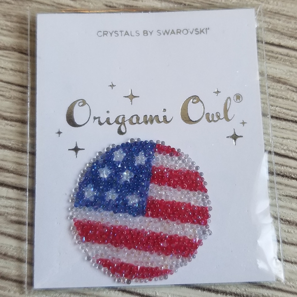 🦉American Flag Plate